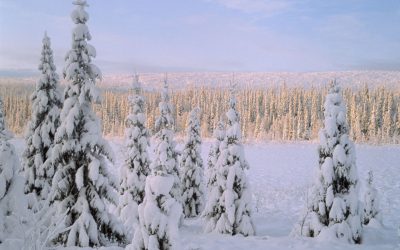 Lapland North, tourist information